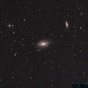 M81