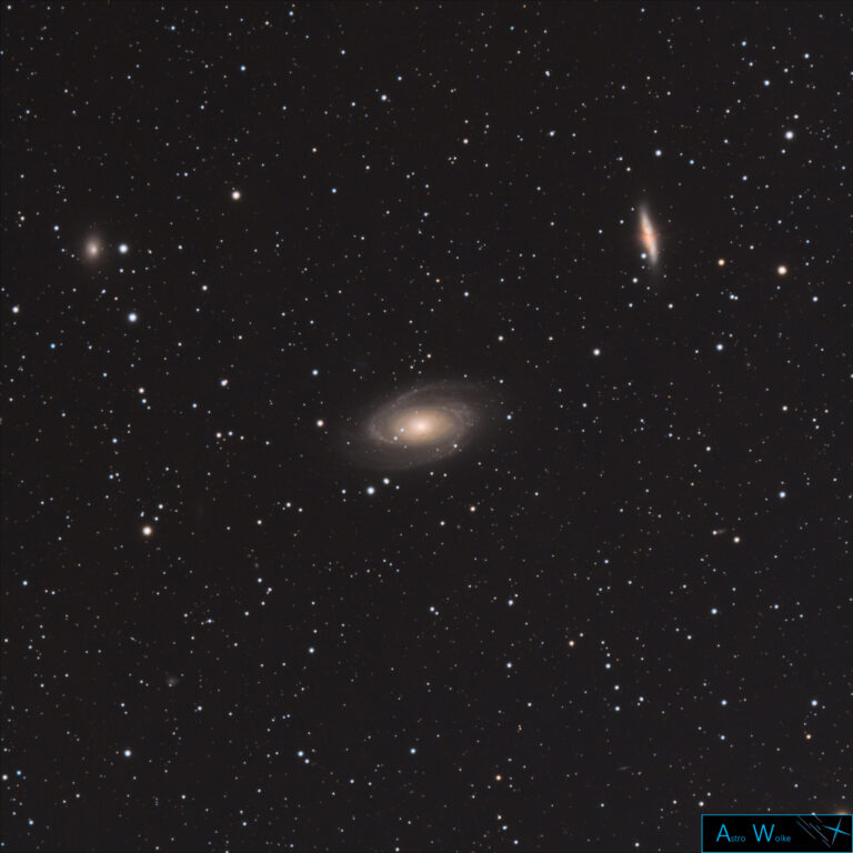 M81