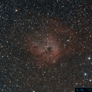 IC 410 - Kaulquappennebel