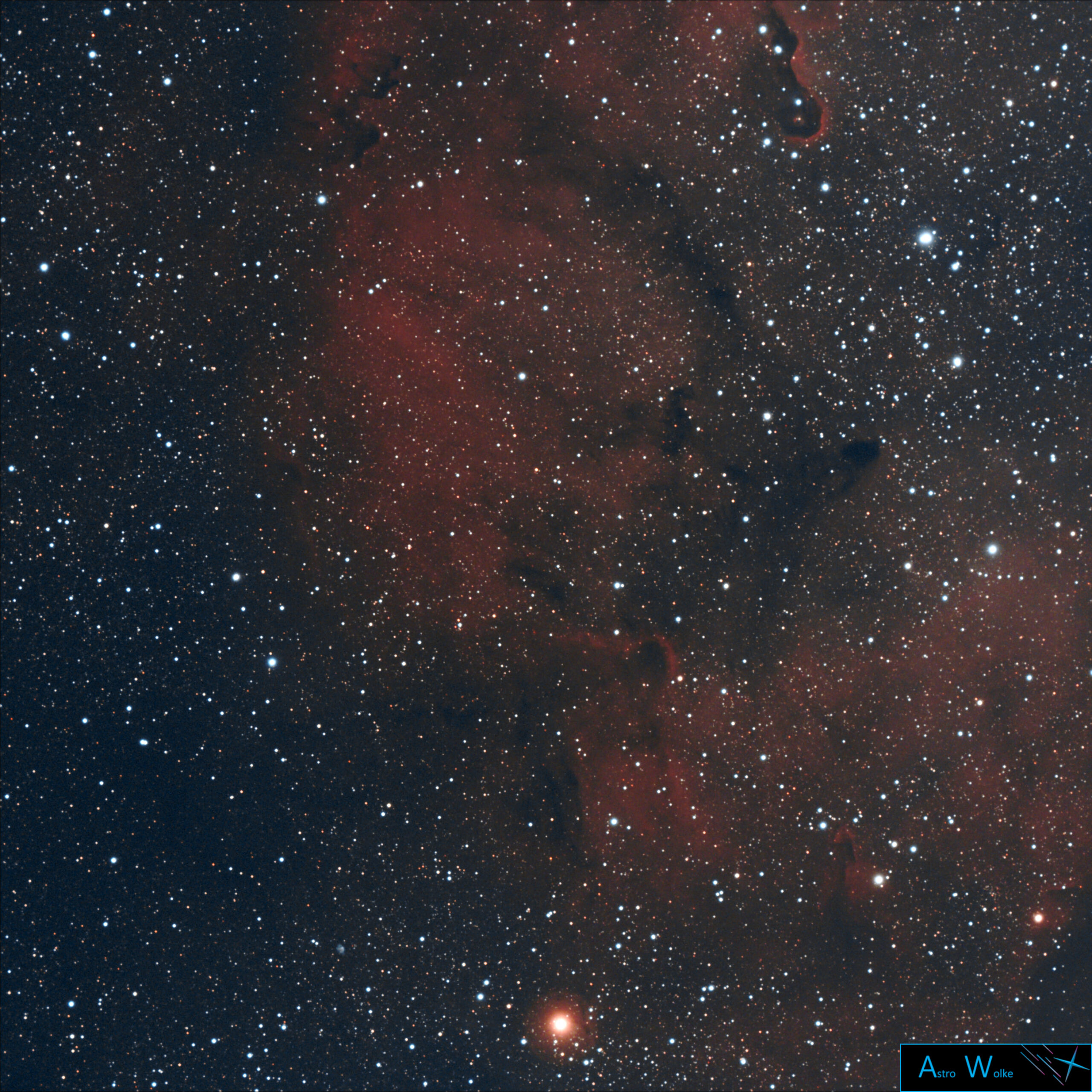 IC 1396 – Elephantenrüssel Nebel