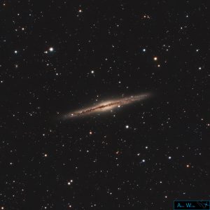 NGC 891 - Silver Silver Galaxy
