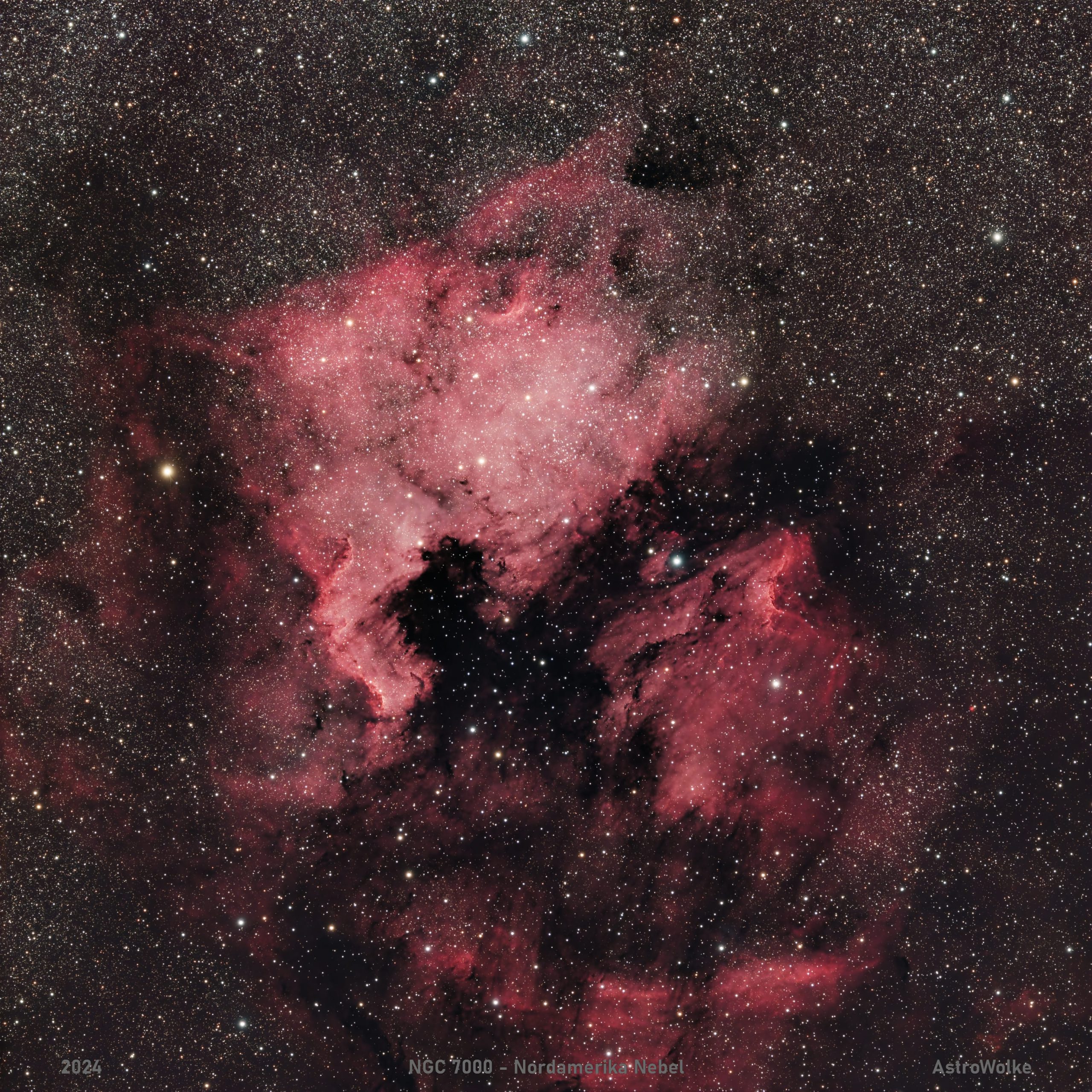 NGC 7000 – Nordamerika Nebel