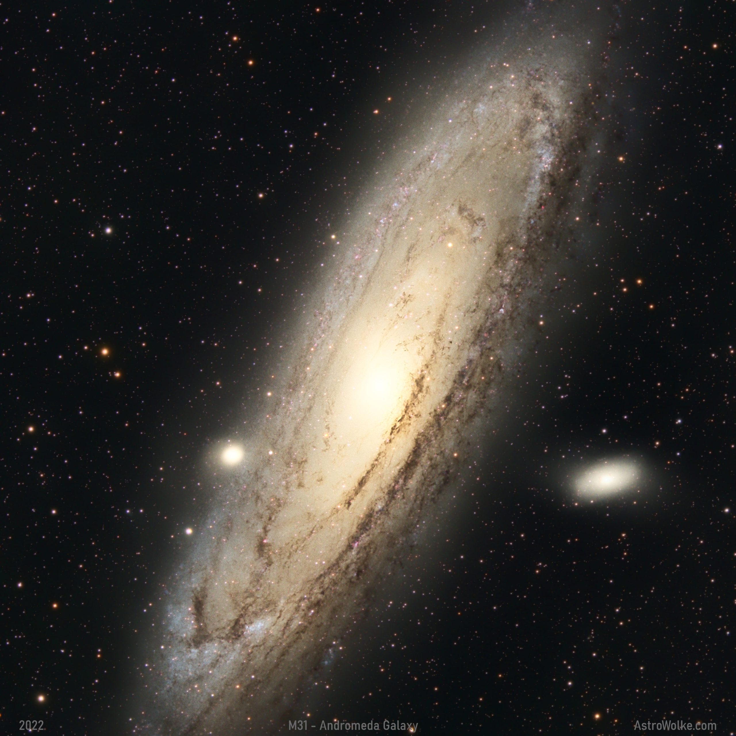M 31 – Andromeda Galaxie