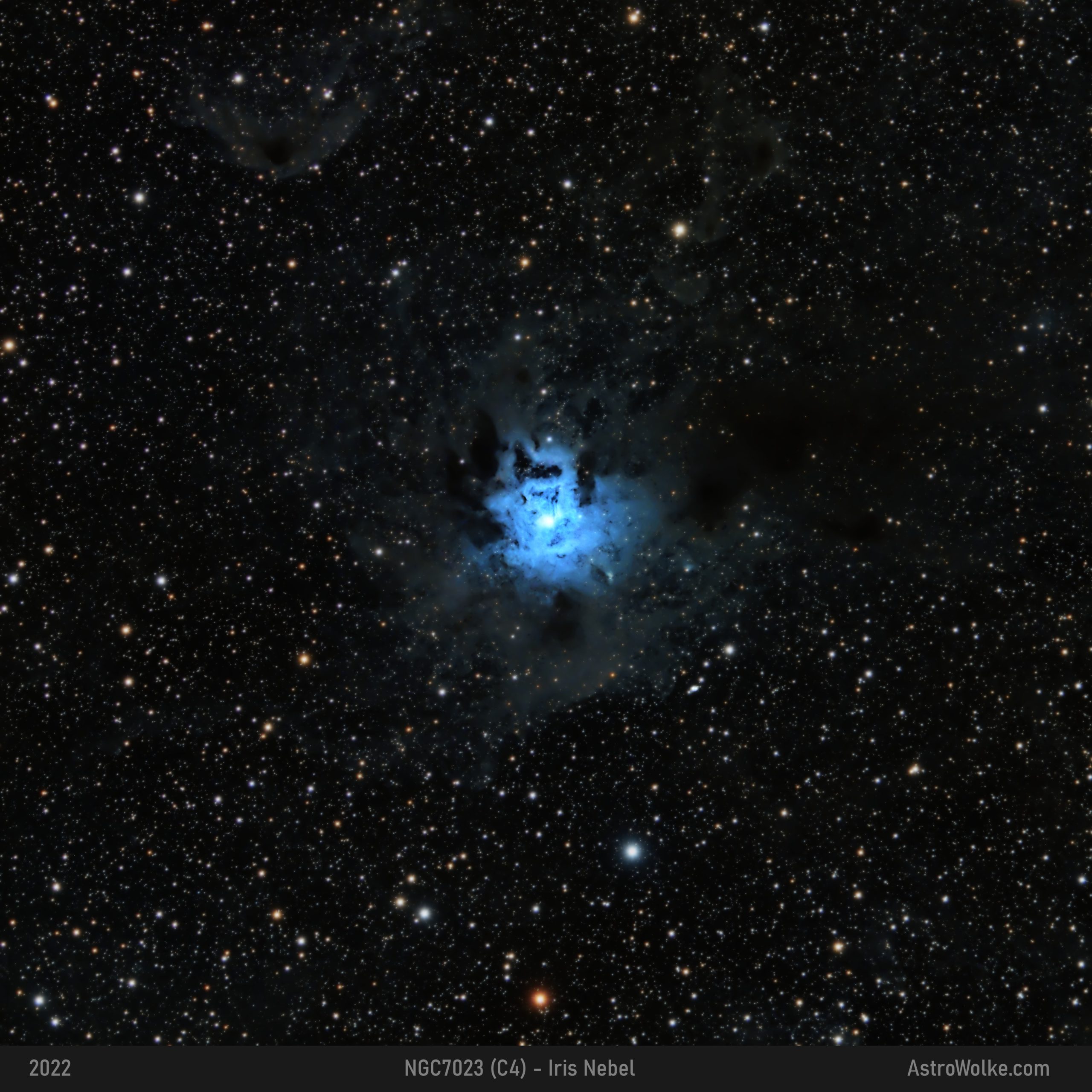 NGC 7023 – Iris Nebel