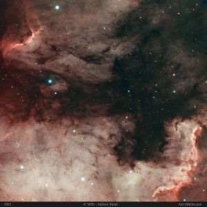 IC 5070 - Pelikannebel
