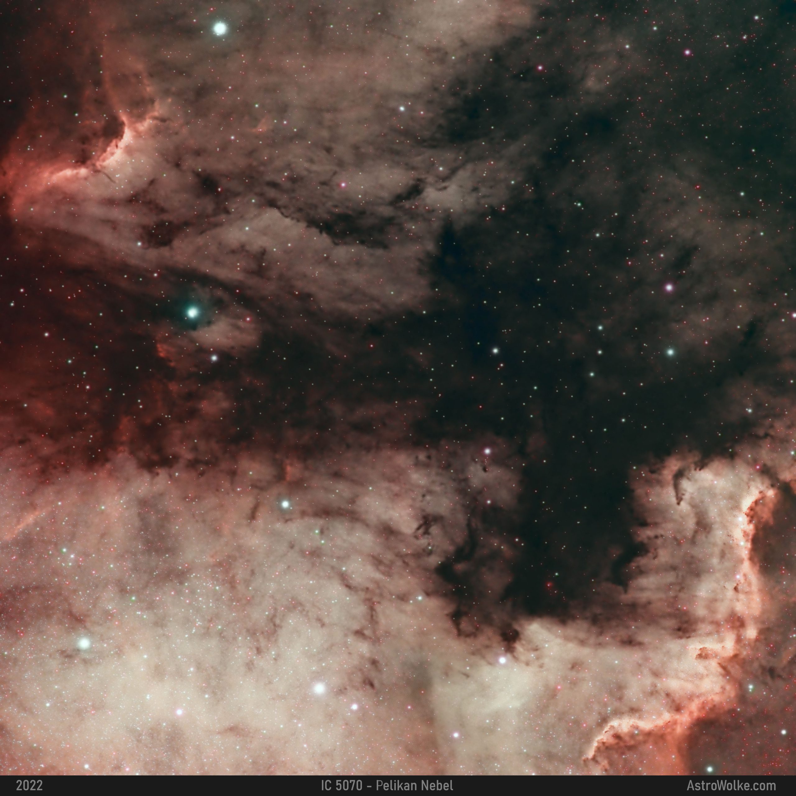 IC 5070 – Pelikan Nebel
