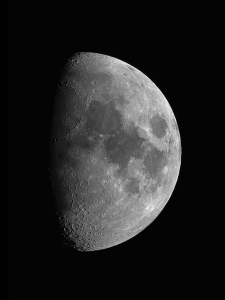 Mond - November 2022