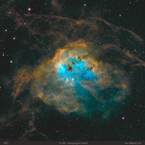IC 410 - Kaulquappen Nebel