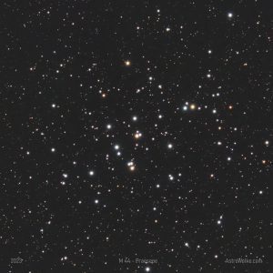 M 44 - Praesepe