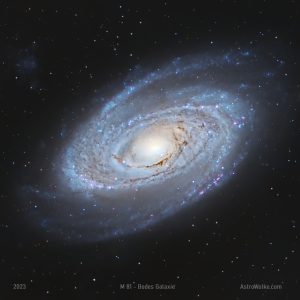 M 81 – Bodes Galaxie